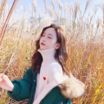 半岛·综合体育官网入口